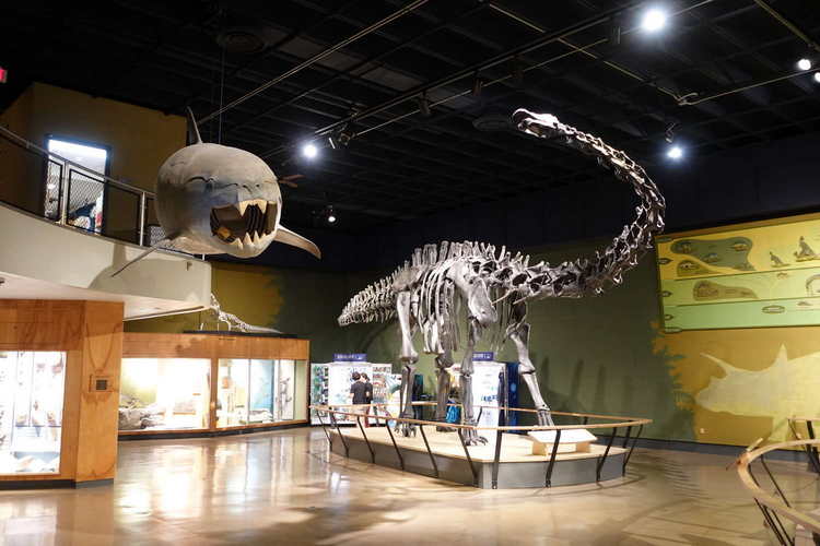 USA_2022-09-20 13-54-36_RX_03118